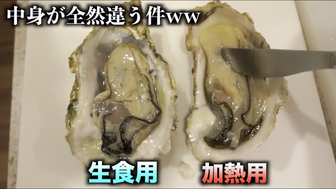 トミック 生食用と加熱用の牡蠣を切ったら中身の違いに衝撃の事実が発覚 Youtuberコメ速報 トミック 生食用と加熱用の牡蠣を切ったら中身の違いに衝撃の事実が発覚 Youtuberコメ速報