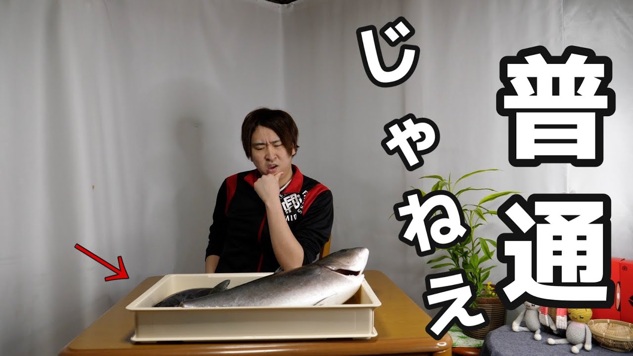 きまぐれクック ハイブリッド魚 奇跡の魚が二匹同時に入りました Youtuberコメ速報 きまぐれクック ハイブリッド魚 奇跡の魚が二匹同時に入りました Youtuberコメ速報