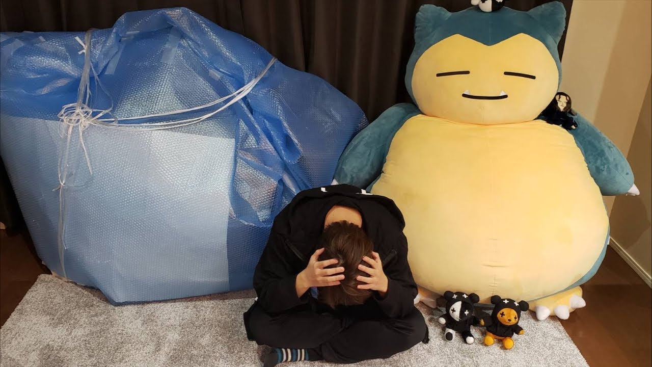 レトルト とんでもないものが家に届いた 初youtube Live Youtuberコメ速報