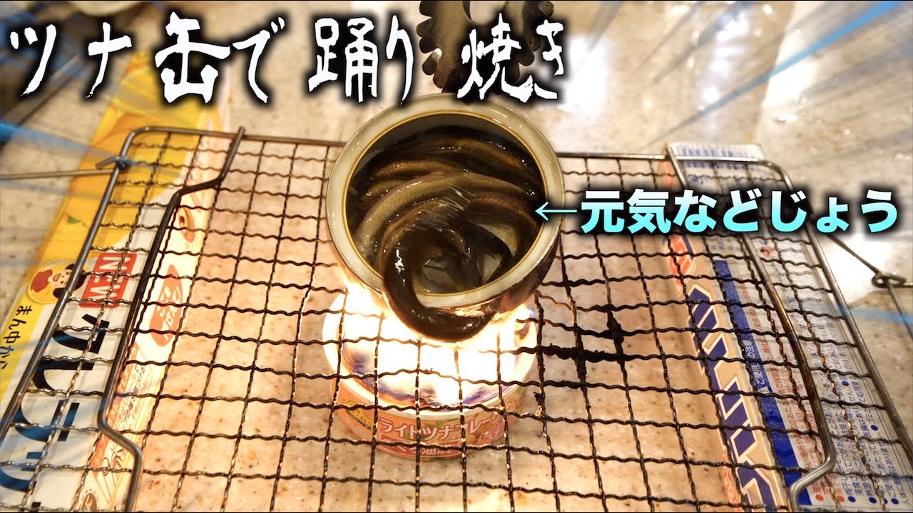 トミック おうちbbq ツナ缶を使ったドジョウの卵とじがめっちゃ美味い Youtuberコメ速報