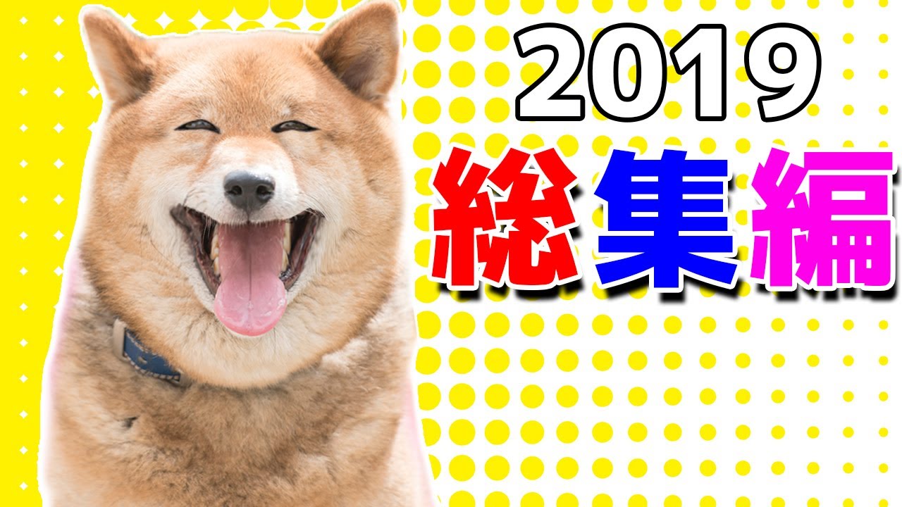 ポッキー おかしな場面集 19 動画総集編 Youtuberコメ速報 ポッキー おかしな場面集 19 動画総集編 Youtuberコメ速報