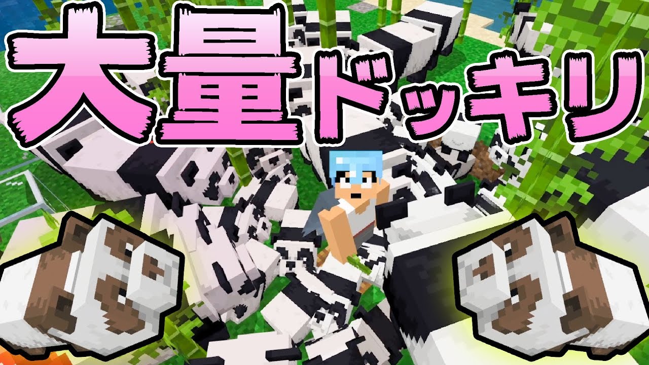 カズチャンネル カズクラ19 パンダ超大量ドッキリするとどうなる マイクラ実況 Part2 Youtuberコメ速報