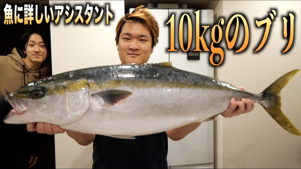 トミック 魚にめっちゃ詳しいアシスタントが入ったので10kgのブリさばかせてみたwwww Youtuberコメ速報 トミック 魚にめっちゃ詳しいアシスタントが入ったので10kgのブリさばかせてみたwwww Youtuberコメ速報