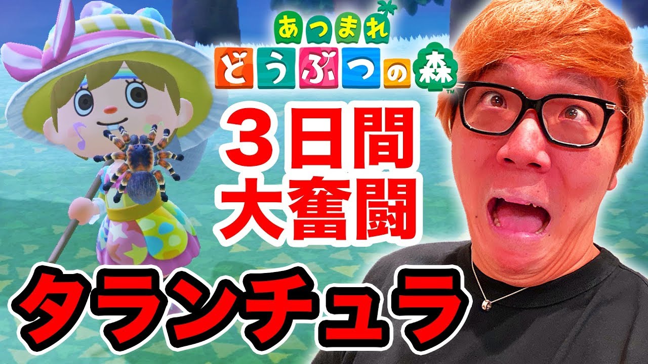 捕まえ 方 森 タランチュラ あつ