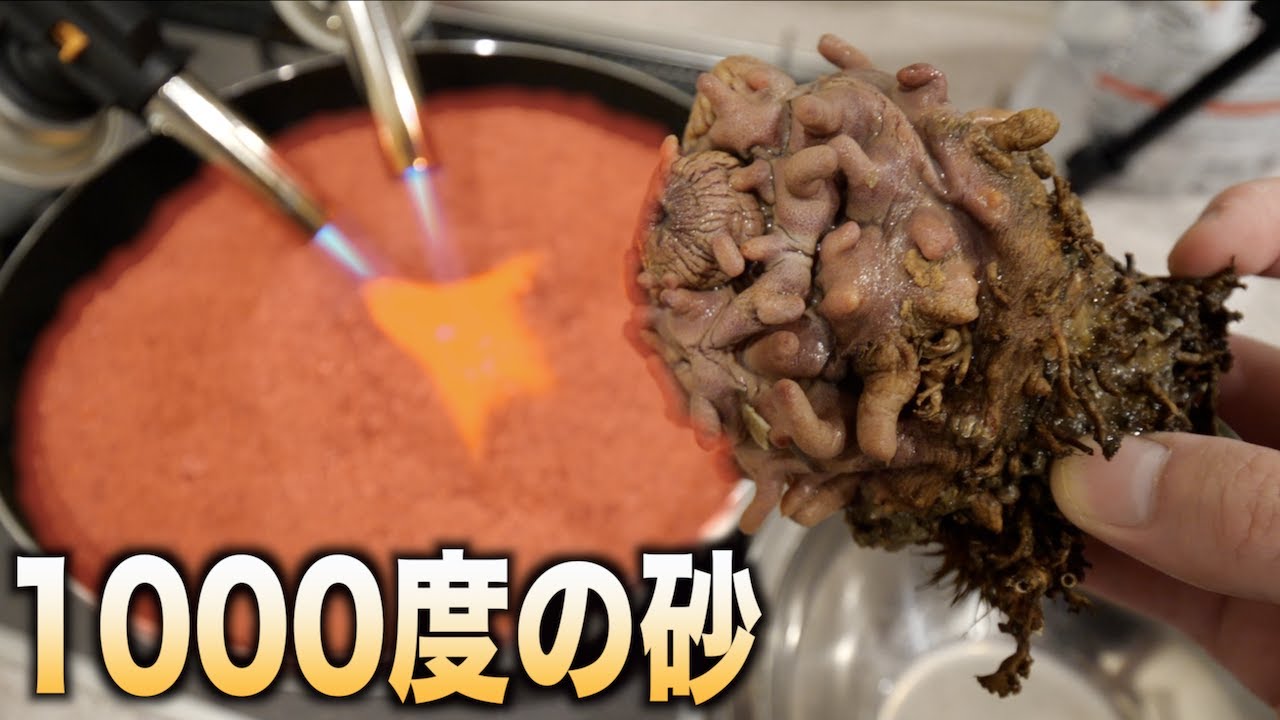 トミック 1000度の灼熱の砂にホヤを埋め込んだら予想以上にヤバかった Youtuberコメ速報 トミック 1000度の灼熱の砂にホヤを埋め込んだら予想以上にヤバかった Youtuberコメ速報