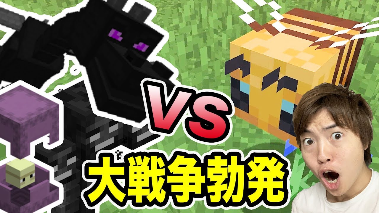 マスオ マイクラ ミツバチvsウィザー エンダードラゴンの戦いがカオス 大戦争 Youtuberコメ速報