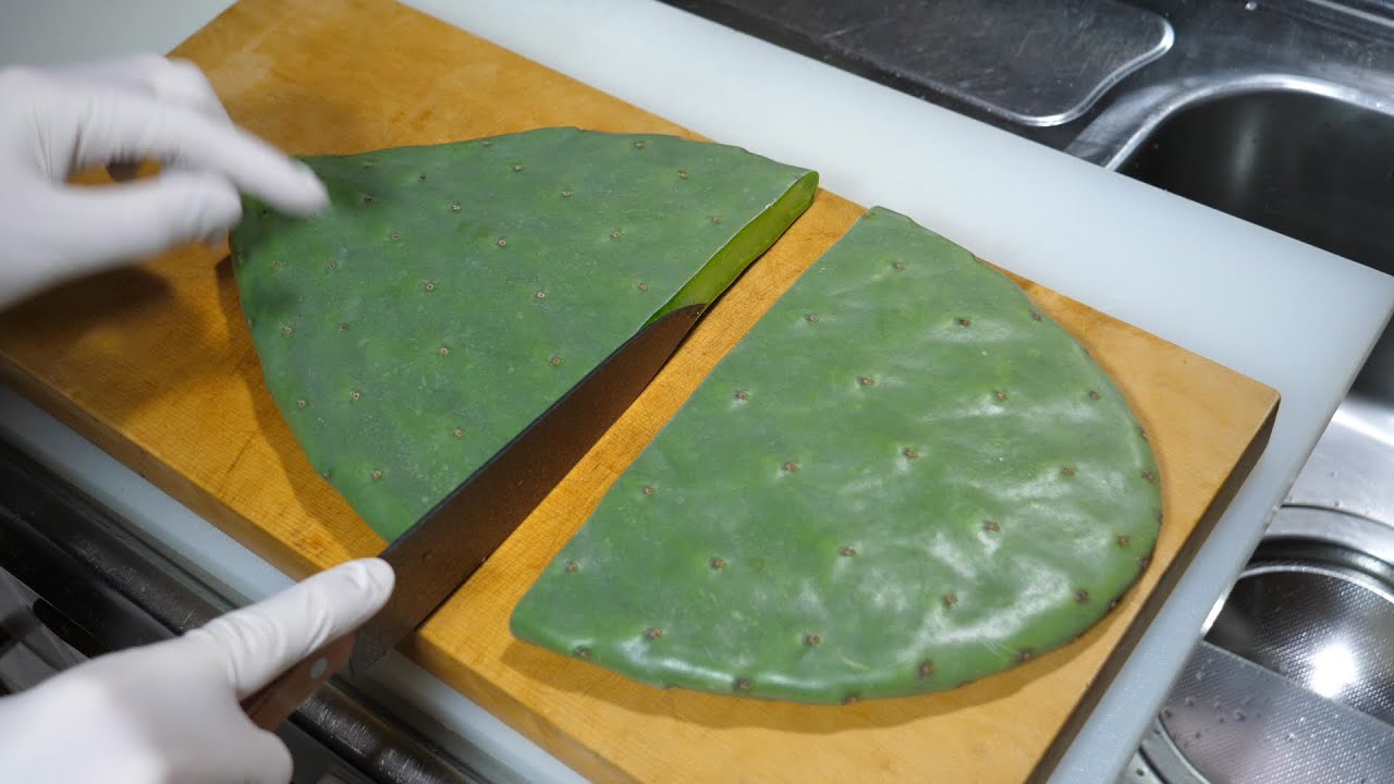 きまぐれクック 朝ごはん作ってみた サボテンステーキ Youtuberコメ速報