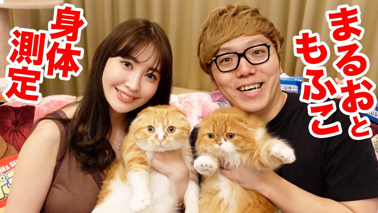 ヒカキン ヒカキン こじはる まるお もふこ身体測定 こじキンtv 小嶋陽菜さんコラボ Youtuberコメ速報