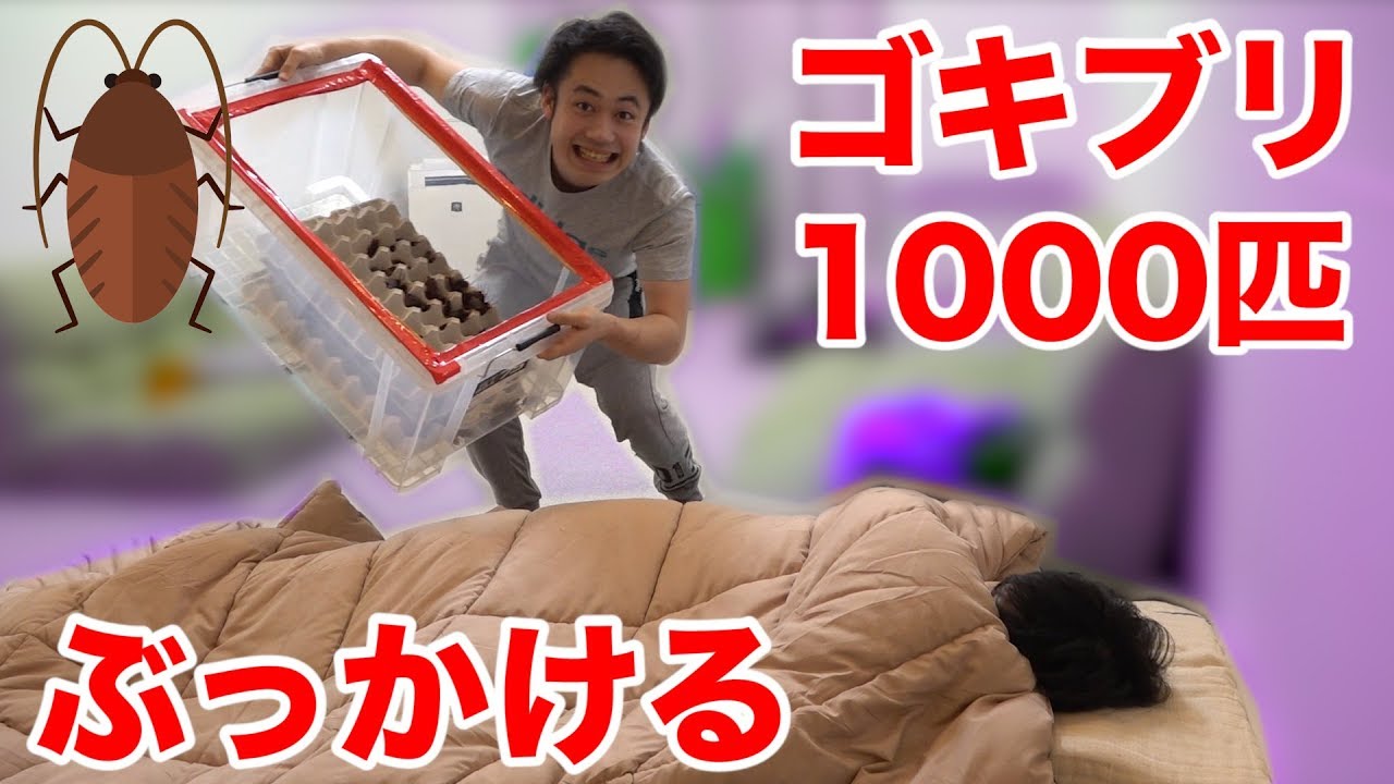 フィッシャーズ 閲覧注意 寝起きにゴキブリ1000匹降ってくるドッキリの反応が面白かったwww Youtuberコメ速報