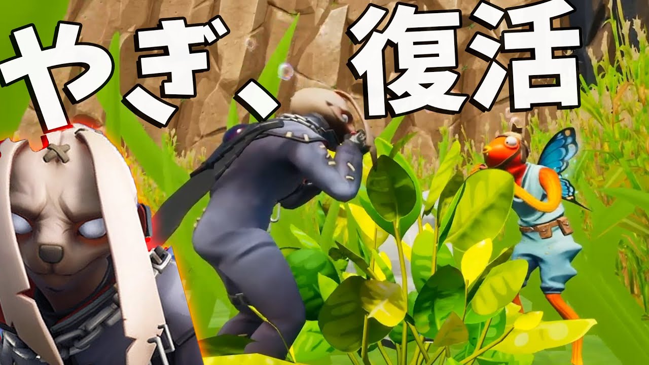 ナイト アスレチック 簡単 フォート