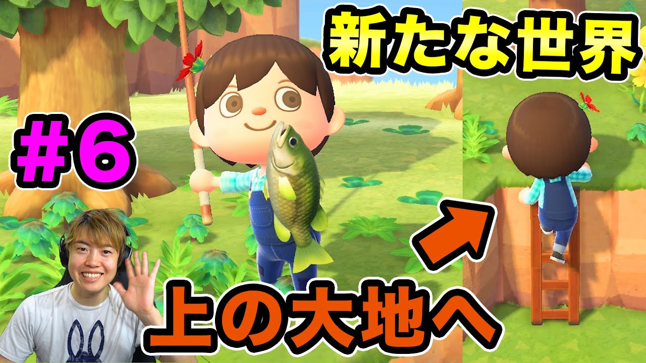 どうぶつ の 森 はしご どうぶつ の 森 はしご