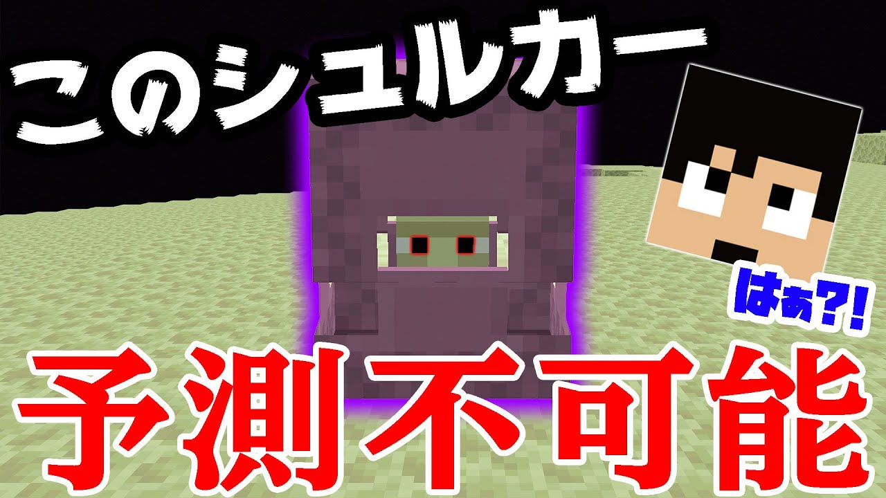 カズチャンネル カズクラ シュルカー連れて帰ろうとしたら超大変すぎた マイクラ実況 Part221 Youtuberコメ速報