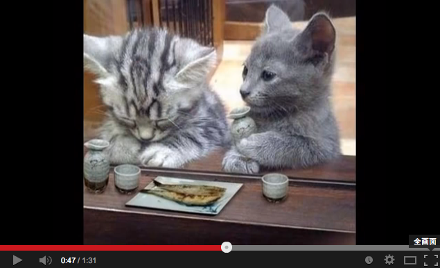 動物癒し画像集でも見てまったりするかなwww Buzz動画 世界の動画紹介所 動物癒し画像集でも見てまったりするかなwww Buzz動画 世界の動画紹介所