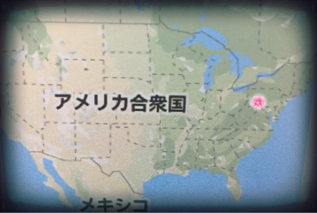 やってきました ピッツバーグ Youyou Igarashi やってきました ピッツバーグ Youyou Igarashi