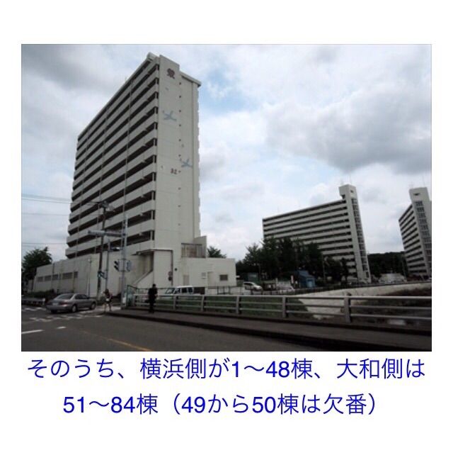 団地 多 国籍 横浜「飯田北いちょう小学校」に学ぶ日本の未来 『〈超・多国籍学校〉は今日もにぎやか!』