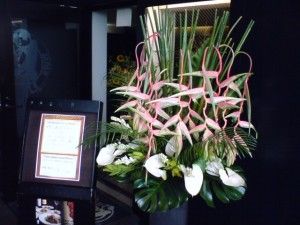 KC380567 KC380567.jpg