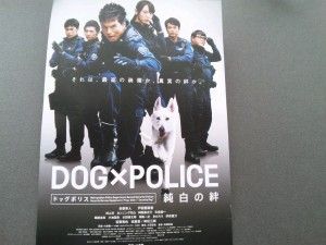 SH3I07430001 SH3I07430001.jpg