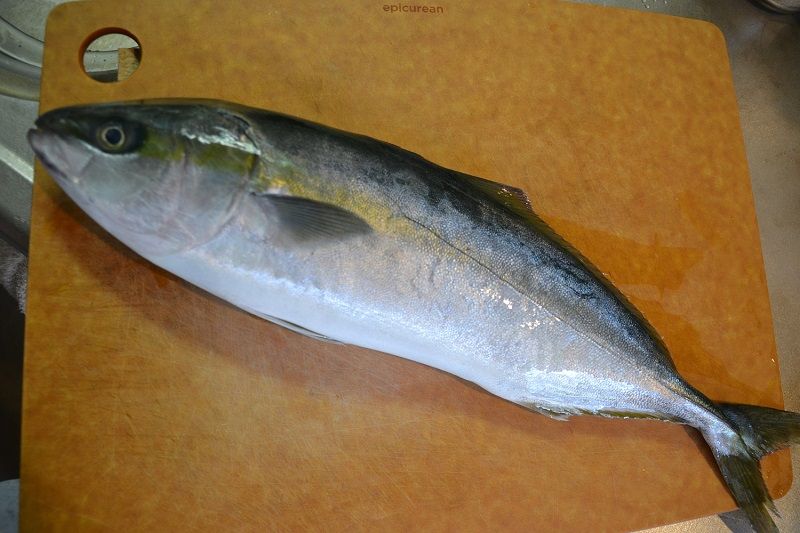 ワカシのセビーチェ 岡野久美子 ブログ