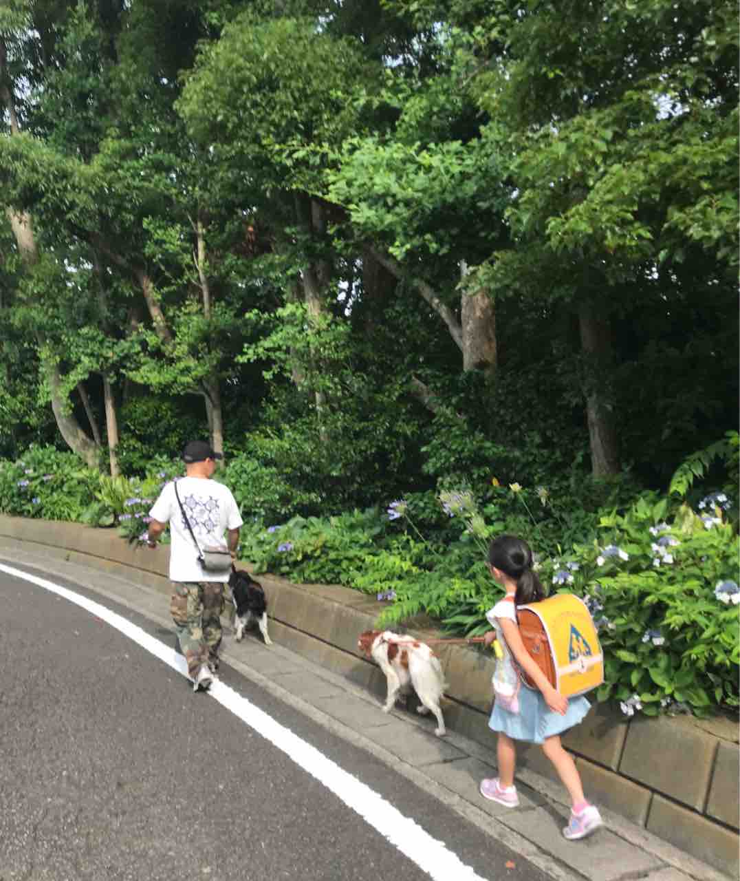 小さいお友達できた 岡野久美子 ブログ
