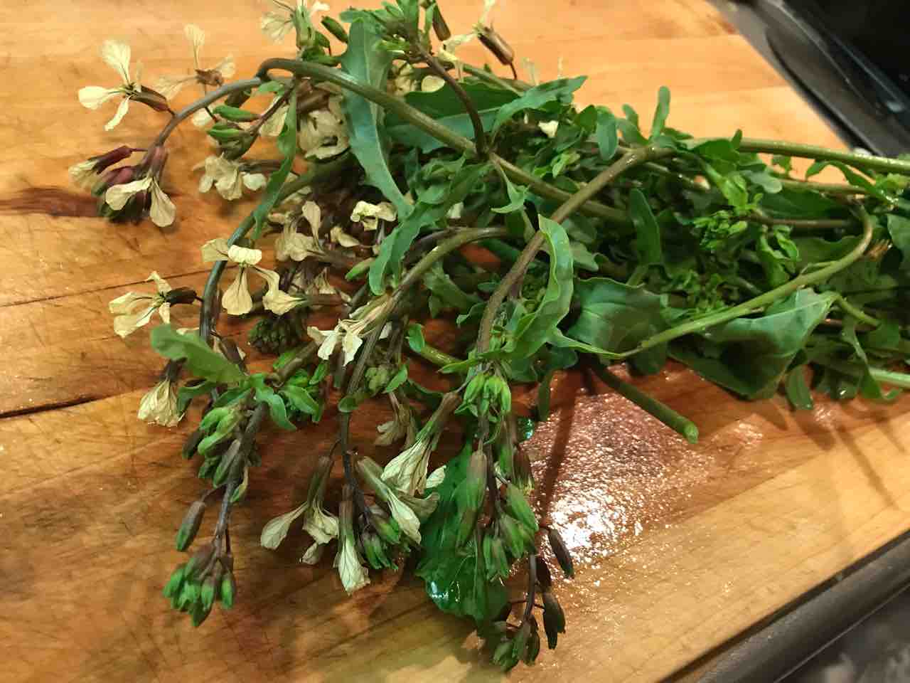 ルッコラの花 岡野久美子 ブログ