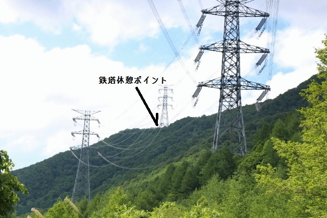 雲上の花畑 平標山 仙ノ倉山 最終章 好き勝手な趣味の時間 雲上の花畑 平標山 仙ノ倉山 最終章 好き勝手な趣味の時間
