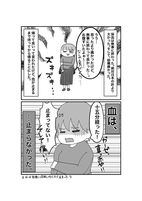 カナダと鬱と私2