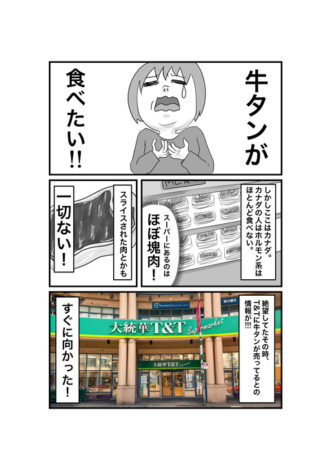 カナダと鬱と私