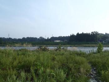 P9140005.jpg