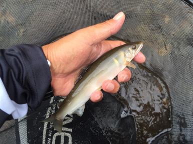 fc2blog_20160830063703ac0.jpg