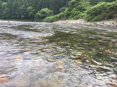 fc2blog_2017073005571025a.jpg
