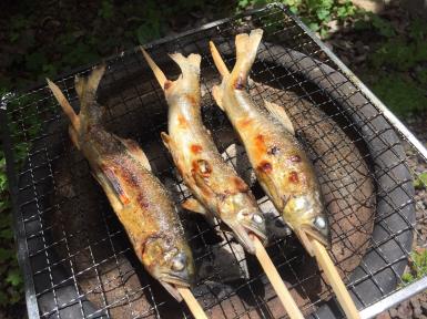 fc2blog_201705080841307ab.jpg
