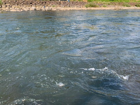 B02F8DC8-9323-47B8-9621-C45375739C5F