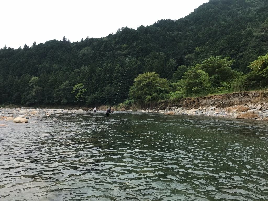 20180729124918fcd.jpeg
