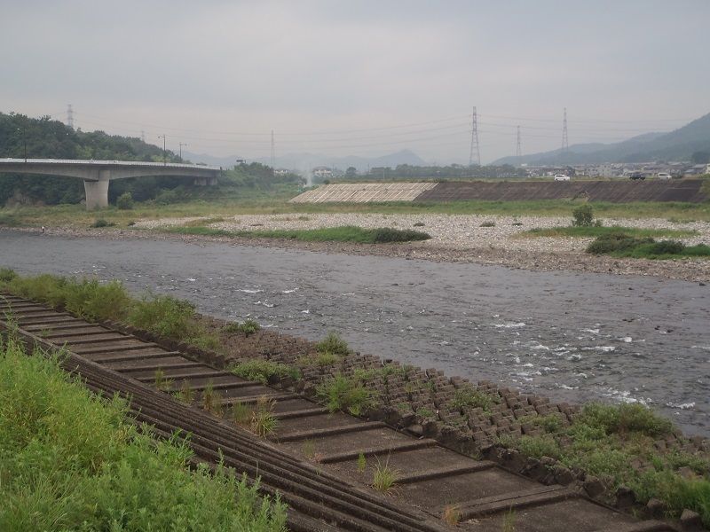 P8300012.jpg