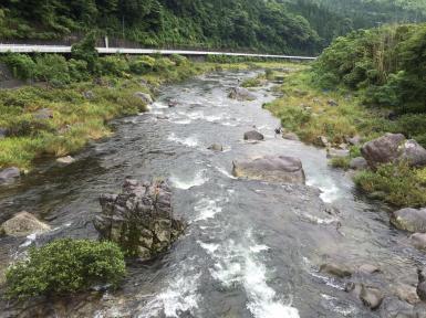 fc2blog_20150830062539b6b.jpg
