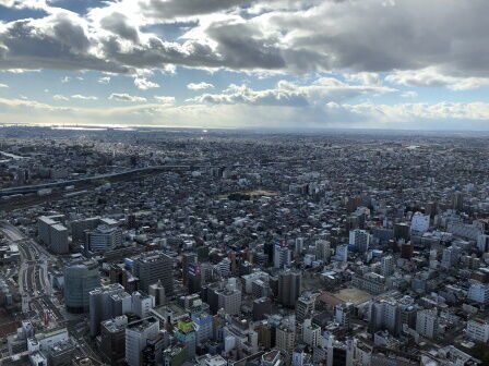 51������������