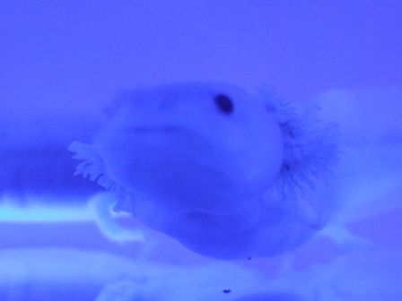 �����ѡ��롼�ѡ�