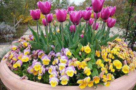 ���塼��å�4