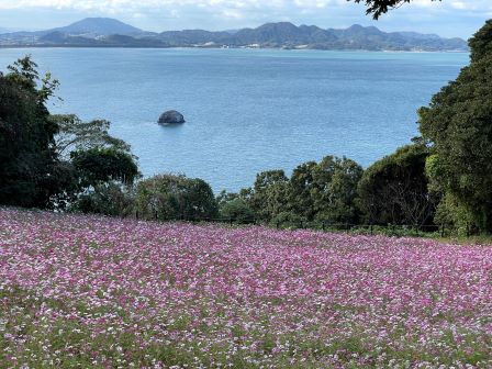 ǽ���祢�����ɥѡ���2