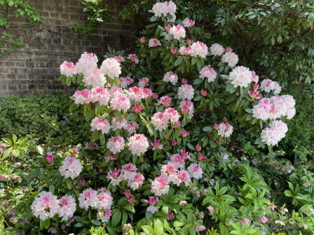 �٥�ե�����11