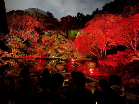 ͧ�������1