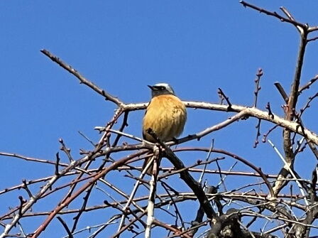 ���祦�ӥ���