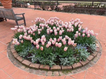 ���塼��å�1