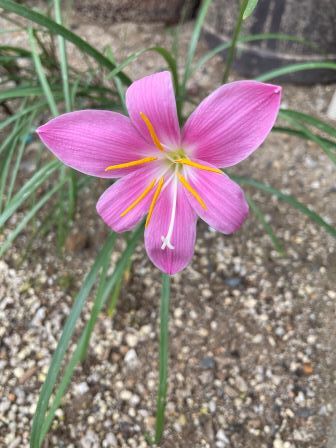 ���ե���ɥ�