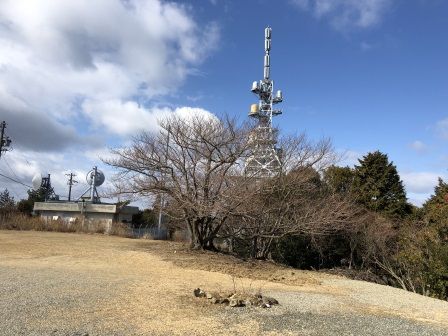 TV������1