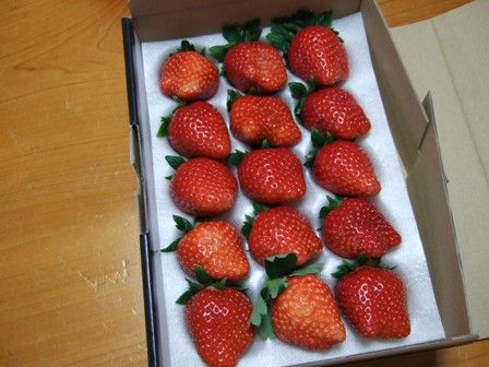 �������त����