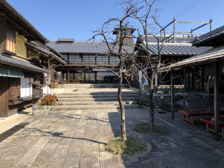 �޽������㲰����