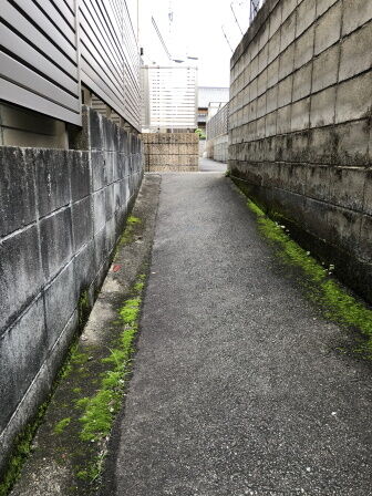 ����ϩ��