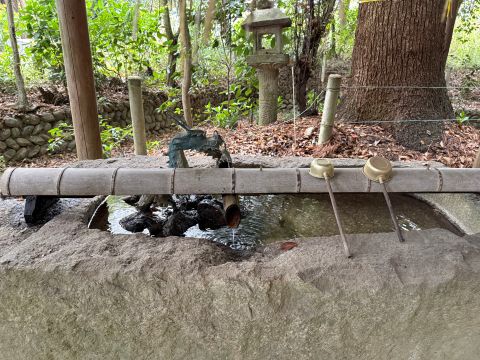 手水舎