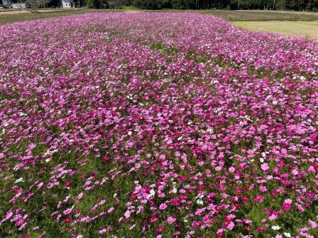 �����⥹Ȫ1